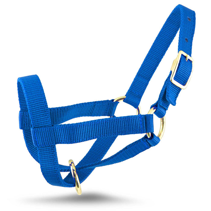 Jeffers Goat Halter - SSHH - Small (30" - 34") - Royal Blue - 6