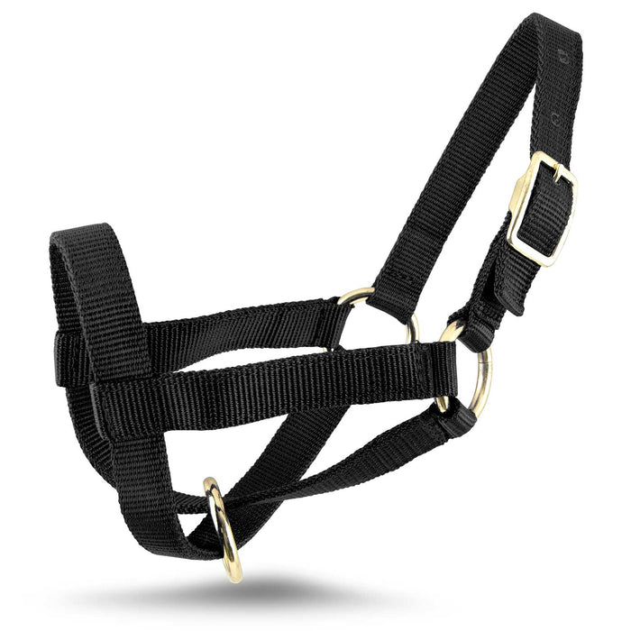 Jeffers Goat Halter - SSHK - Small (30" - 34") - Black - 12