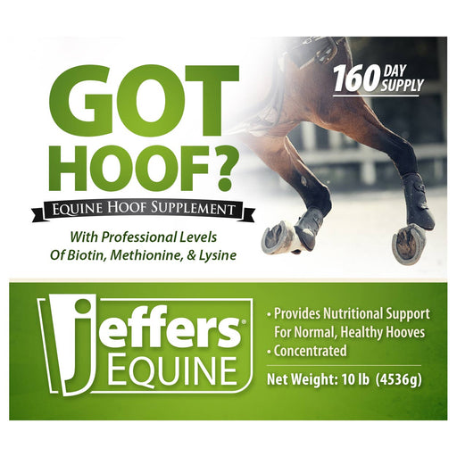 Jeffers Got Hoof? Concentrated Horse Hoof Supplement - JAXG1 - 10 lbs - 160 Day Supply - 2