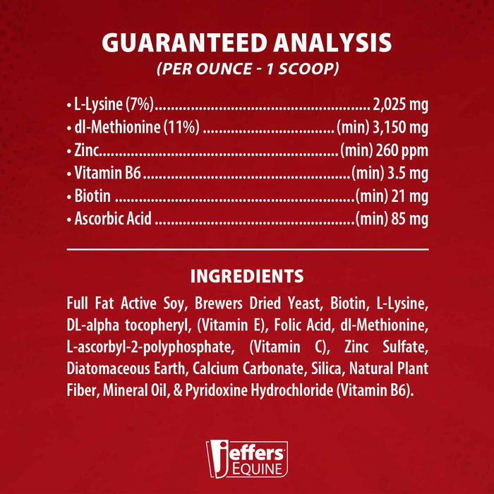 Jeffers Got Hoof? Hoof Builder Supplement for Horses, Powder - JAXG1 - Powder - 10 lbs (160 Day Supply) - 4