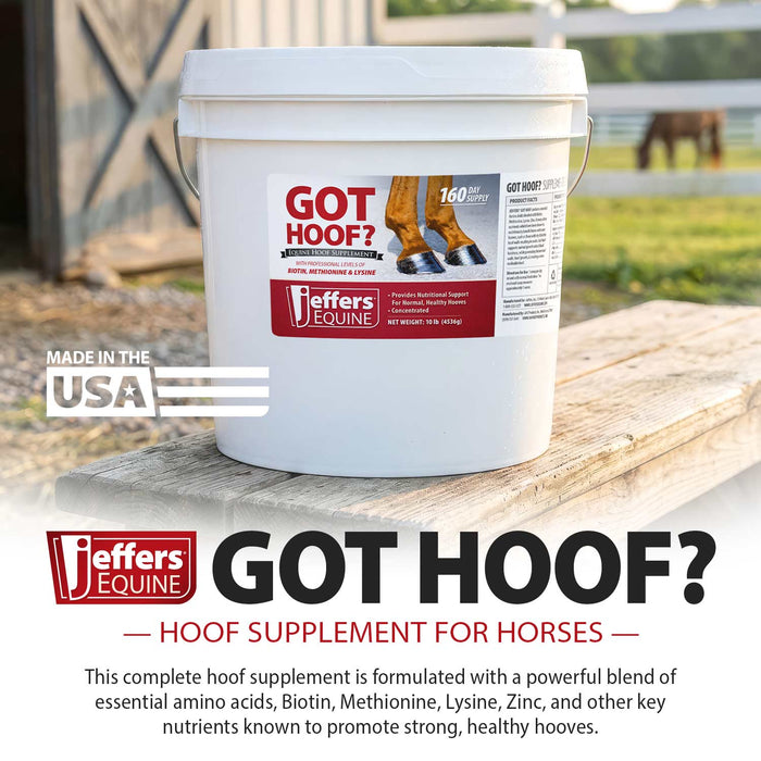 Jeffers Got Hoof? Hoof Builder Supplement for Horses, Powder - JAXG1 - Powder - 10 lbs (160 Day Supply) - 2