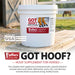 Jeffers Got Hoof? Hoof Builder Supplement for Horses, Powder - JAXG1 - Powder - 10 lbs (160 Day Supply) - 2