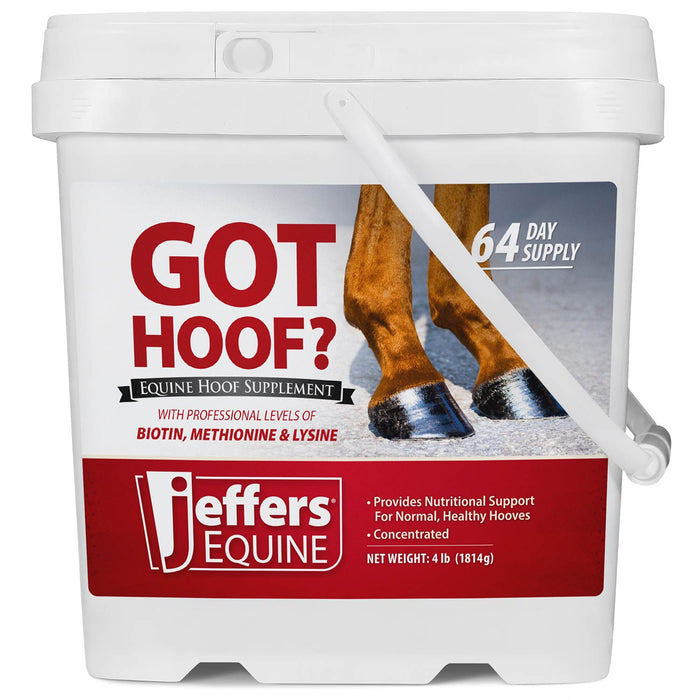 Jeffers Got Hoof? Hoof Builder Supplement for Horses, Powder - JAXG3 - Powder - 4 lbs (64 Day Supply - 12