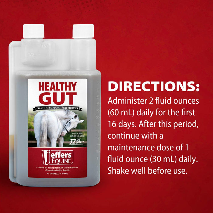 Jeffers Healthy Gut Gastric Support Liquid Supplement for Horses - JEF2PA - 32 oz - 32 Day Supply - 1 - 3