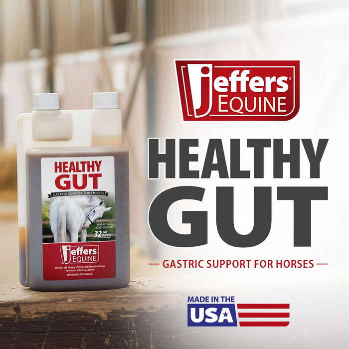 Jeffers Healthy Gut Gastric Support Liquid Supplement for Horses - JEF2PA - 32 oz - 32 Day Supply - 1 - 2