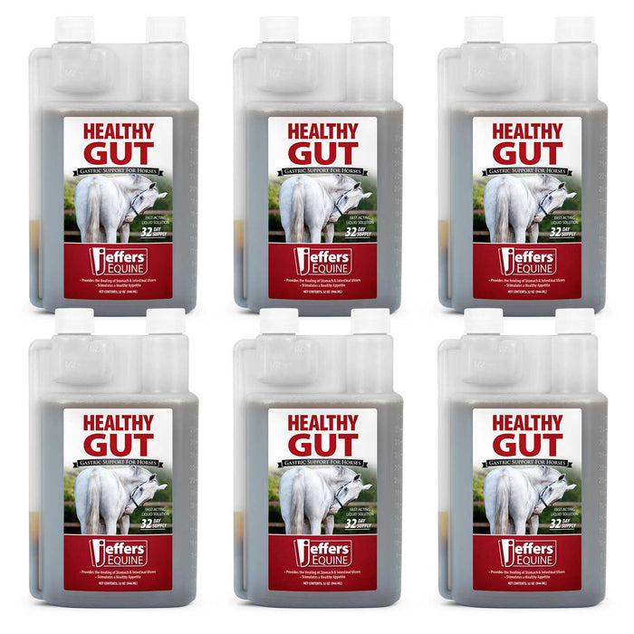 Jeffers Healthy Gut Gastric Support Liquid Supplement for Horses - JEF2PA-KIT - 32 oz - 32 Day Supply - 6 - 5