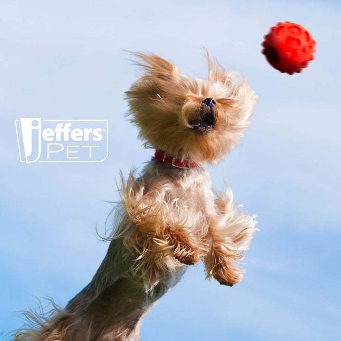 Jeffers Hollow Red Knobby Ball Natural Rubber Dental Treat Dispensing Dog Chew Toy - I7Q1 - Red - Medium - 1 - 6