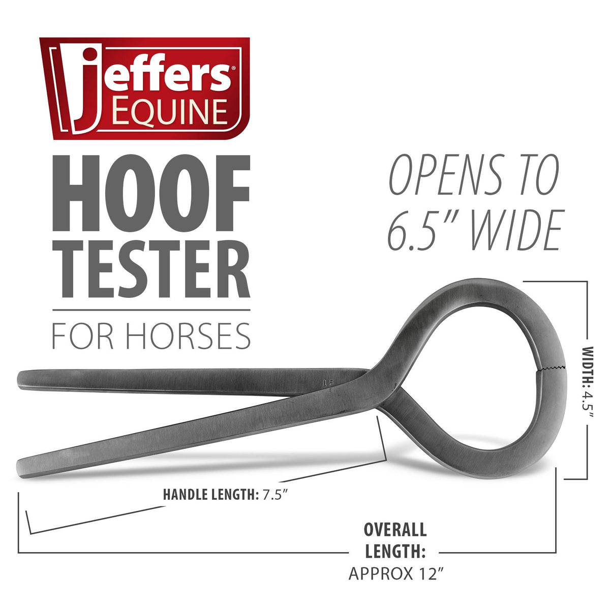Jeffers Farrier's Hoof Tester Tool - Stainless Steel Equine Hoof Diagnosis Instrument For Horses