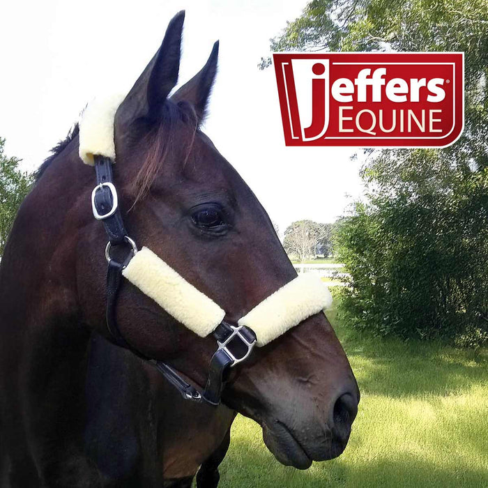 Jeffers Horse Fleece Halter Tube, 4 Piece Comfort Set - IASQ - 6