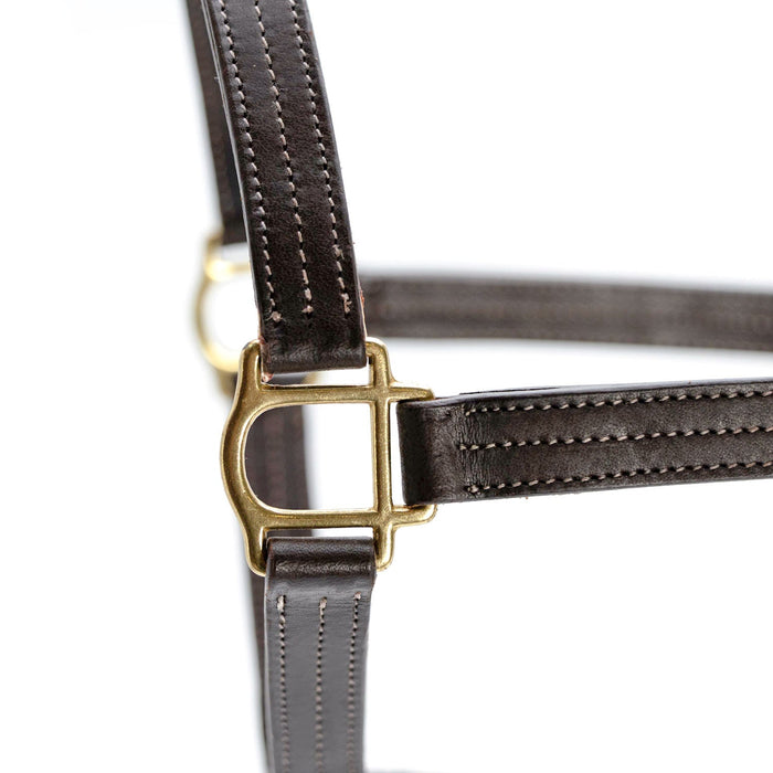Jeffers Lexington Triple Stitched Leather Halter – Premium Pre - Oiled Adjustable Horse Halter, Breakaway Option, Durable & Comfortable Equestrian Tack - JEF15P - Cob - Havana - 1 - 3