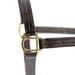 Jeffers Lexington Triple Stitched Leather Halter – Premium Pre - Oiled Adjustable Horse Halter, Breakaway Option, Durable & Comfortable Equestrian Tack - JEF15P - Cob - Havana - 1 - 3