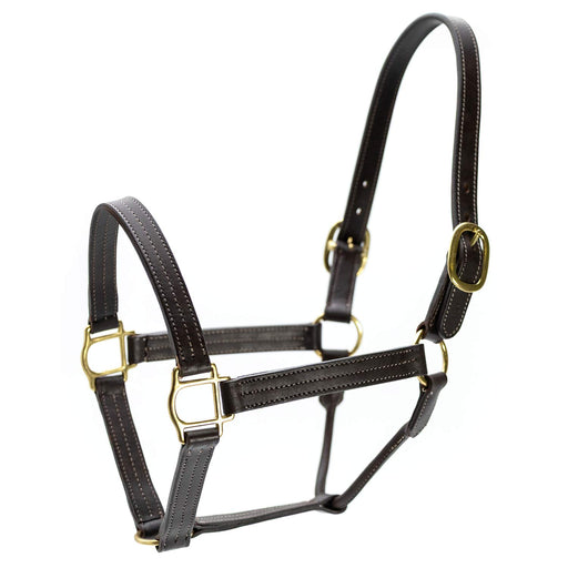 Jeffers Lexington Triple Stitched Leather Halter – Premium Pre - Oiled Adjustable Horse Halter, Breakaway Option, Durable & Comfortable Equestrian Tack - JEF15P - Cob - Havana - 1 - 1
