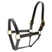 Jeffers Lexington Triple Stitched Leather Halter – Premium Pre - Oiled Adjustable Horse Halter, Breakaway Option, Durable & Comfortable Equestrian Tack - JEF15P - Cob - Havana - 1 - 1