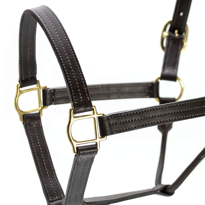 Jeffers Lexington Triple Stitched Leather Halter – Premium Pre - Oiled Adjustable Horse Halter, Breakaway Option, Durable & Comfortable Equestrian Tack - JEF15P - Cob - Havana - 1 - 2