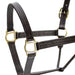 Jeffers Lexington Triple Stitched Leather Halter – Premium Pre - Oiled Adjustable Horse Halter, Breakaway Option, Durable & Comfortable Equestrian Tack - JEF15P - Cob - Havana - 1 - 2