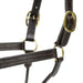 Jeffers Lexington Triple Stitched Leather Halter – Premium Pre - Oiled Adjustable Horse Halter, Breakaway Option, Durable & Comfortable Equestrian Tack - JEF15P - Cob - Havana - 1 - 4