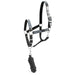 Jeffers Matching Horse Halter & Lead Rope 2 Piece Set, Full Size - GAG1W9 - Urban Camo - Full - 40