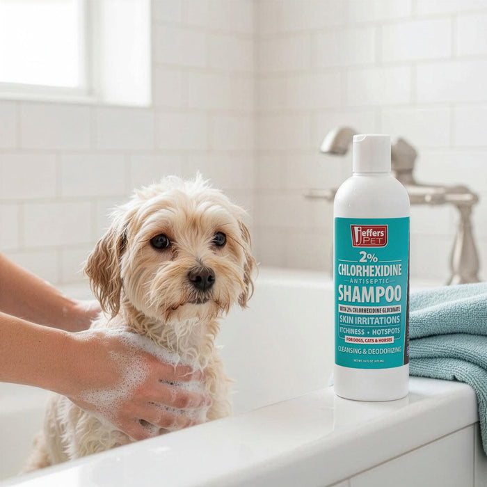 Jeffers Medicated 2% Chlorhexidine Shampoo for Dogs, Cats & Horses - JEFFFE - 16 oz - 1 - 8