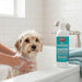 Jeffers Medicated 2% Chlorhexidine Shampoo for Dogs, Cats & Horses - JEFFFE - 16 oz - 1 - 8
