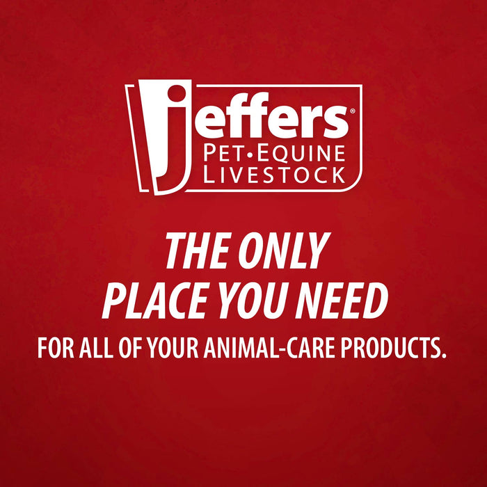 Jeffers Medicated 2% Chlorhexidine Shampoo for Dogs, Cats & Horses - JEFFFE - 16 oz - 1 - 3