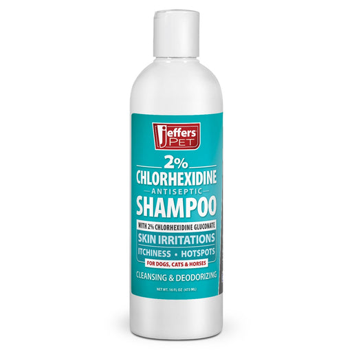 Jeffers Medicated 2% Chlorhexidine Shampoo for Dogs, Cats & Horses - JEFFFE - 16 oz - 1 - 1