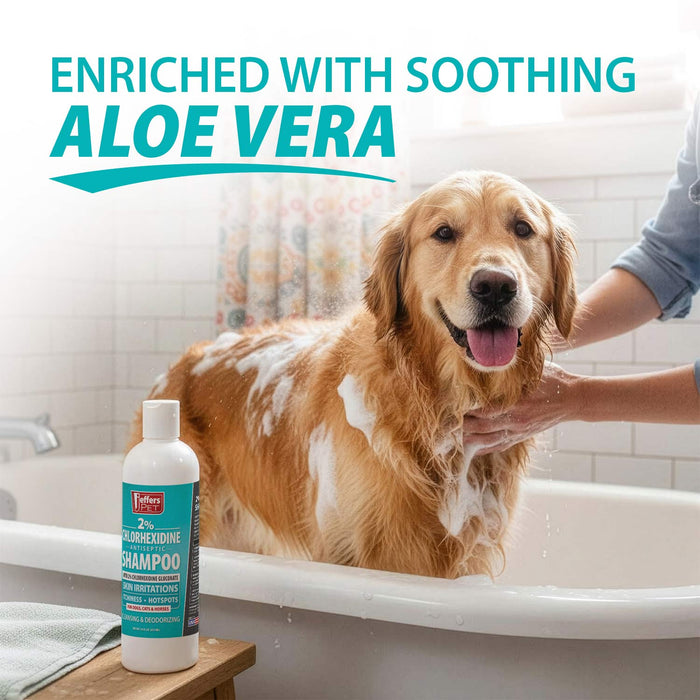 Jeffers Medicated 2% Chlorhexidine Shampoo for Dogs, Cats & Horses - JEFFFE - 16 oz - 1 - 3