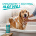 Jeffers Medicated 2% Chlorhexidine Shampoo for Dogs, Cats & Horses - JEFFFE - 16 oz - 1 - 3