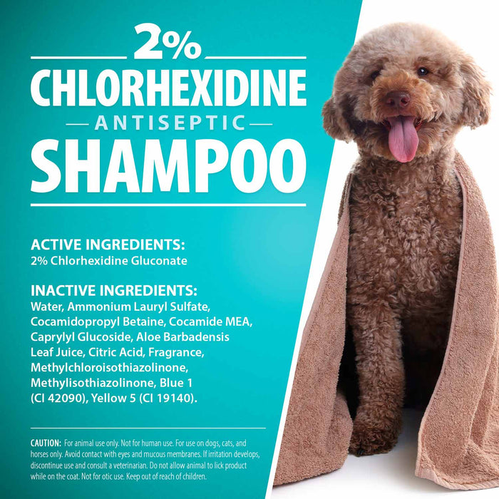 Jeffers Medicated 2% Chlorhexidine Shampoo for Dogs, Cats & Horses - JEFFFE - 16 oz - 1 - 5