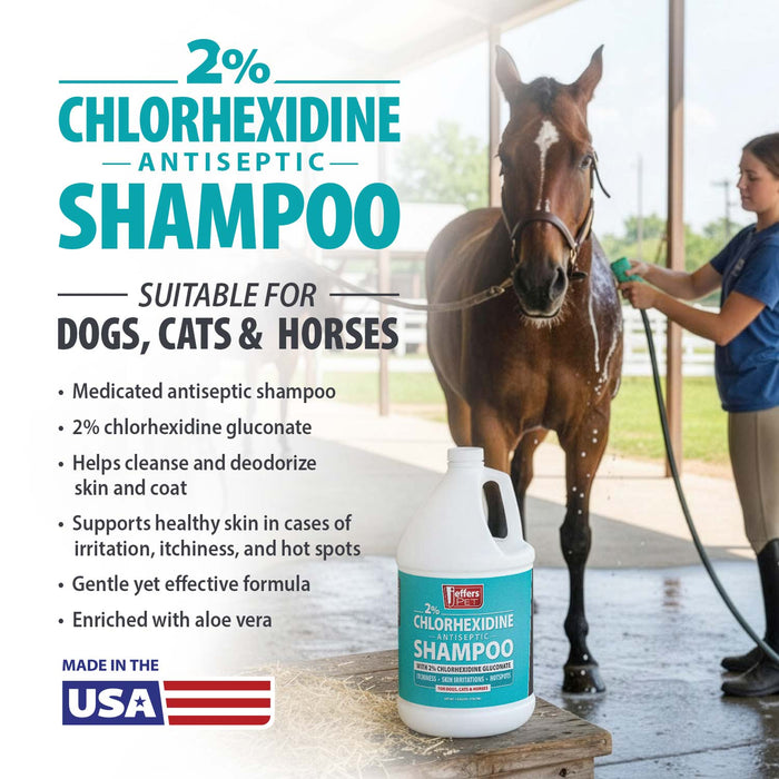 Jeffers Medicated 2% Chlorhexidine Shampoo for Dogs, Cats & Horses - JEFFFE - 16 oz - 1 - 6
