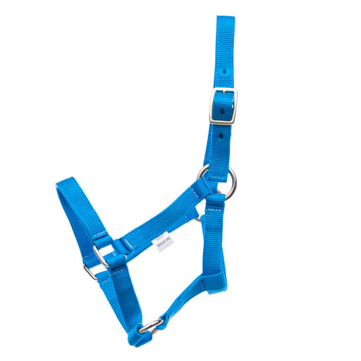 Jeffers Nylon Miniature Horse Halters, 2 - Ply, 3/4" - SSRH - Mini 2 - Yr Old (Under 200 lbs) - Turquoise - 9