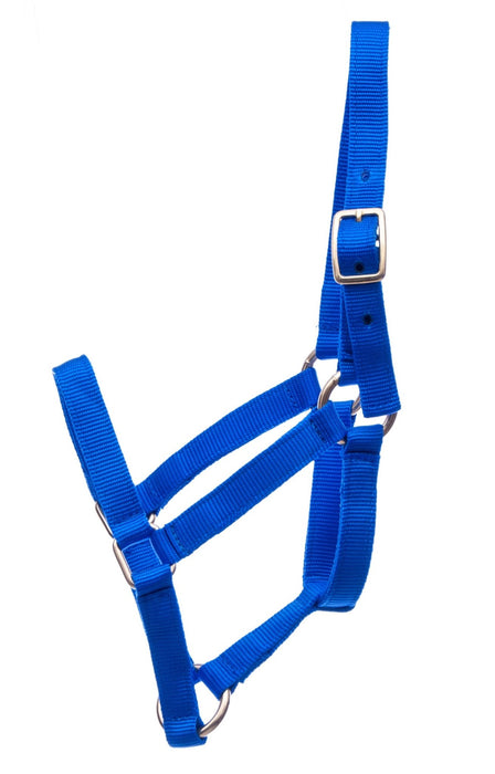 Jeffers Miniature Yearling (under 100 lb) Nylon Halter - Jeffers - Horse Supplies > Horse Tack > Horse Halters