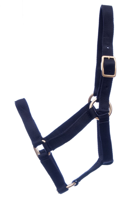 Jeffers Miniature Yearling (under 100 lb) Nylon Halter - Jeffers - Horse Supplies > Horse Tack > Horse Halters