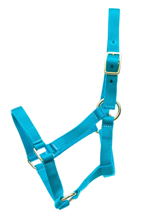 Jeffers Miniature Yearling (under 100 lb) Nylon Halter - Jeffers - Horse Supplies > Horse Tack > Horse Halters