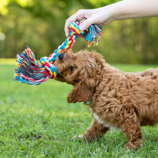 Jeffers Multicolored Braided Rope Bone Tug Toy - Jeffers - Dog Supplies > Dog Toys