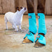 Jeffers No - Turn Bell Boots for Horses, Solid Colors, 2 ct - JEF2Y5 - Medium - Turquoise - 2 ct - 23