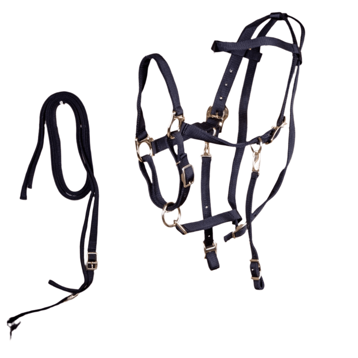 Jeffers Nylon Combination Horse Halter Bridle with Reins - SS39 - Black - 2