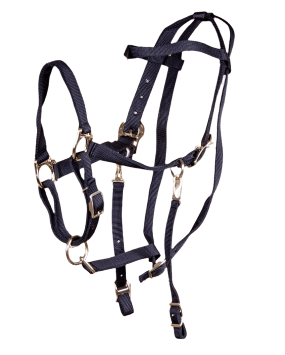 Jeffers Nylon Combination Horse Halter Bridle with Reins - SS39 - Black - 3