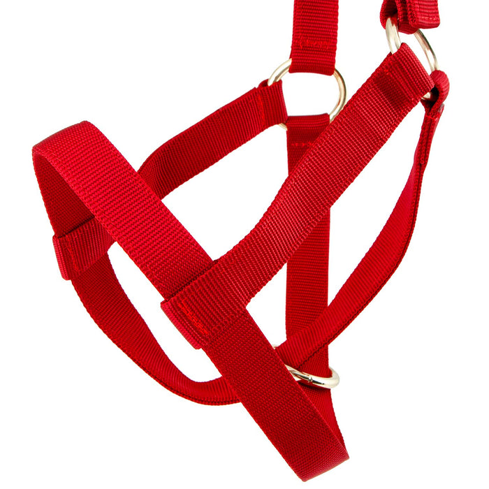 Jeffers Nylon Cow Halter - SSF3 - Small (250 - 450 lbs) - Red - 4