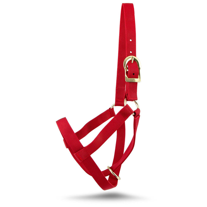 Jeffers Nylon Cow Halter - SSF3 - Small (250 - 450 lbs) - Red - 3