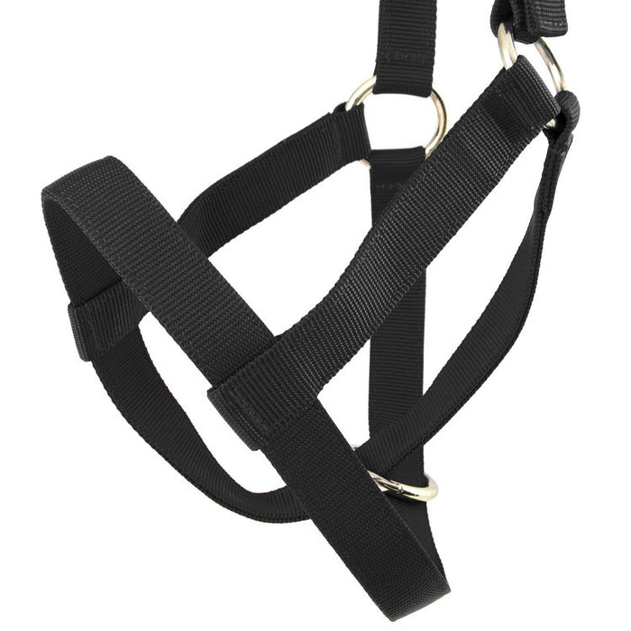 Jeffers Nylon Cow Halter - SSF4 - Small (250 - 450 lbs) - Black - 8