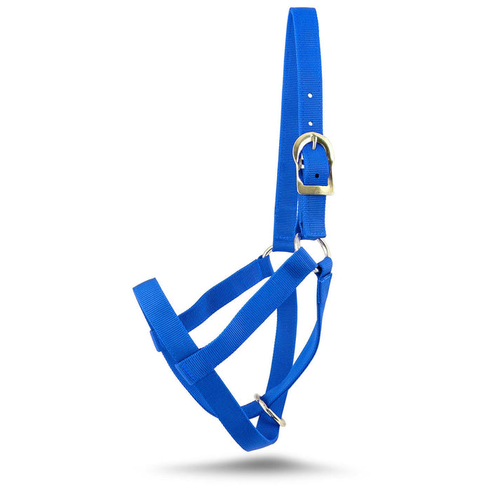 Jeffers Nylon Cow Halter - SSF5 - Small (250 - 450 lbs) - Royal Blue - 12