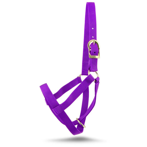 Jeffers Nylon Cow Halter - SSF6 - Small (250 - 450 lbs) - Purple - 15