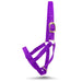 Jeffers Nylon Cow Halter - SSF6 - Small (250 - 450 lbs) - Purple - 15