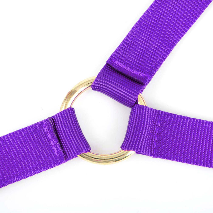 Jeffers Nylon Cow Halter - SSF6 - Small (250 - 450 lbs) - Purple - 17