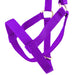 Jeffers Nylon Cow Halter - SSF6 - Small (250 - 450 lbs) - Purple - 16