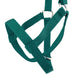 Jeffers Nylon Cow Halter - SSFT - Small (250 - 450 lbs) - Forest Green - 21