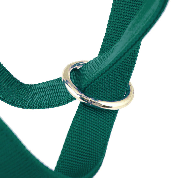 Jeffers Nylon Cow Halter - SSFT - Small (250 - 450 lbs) - Forest Green - 23