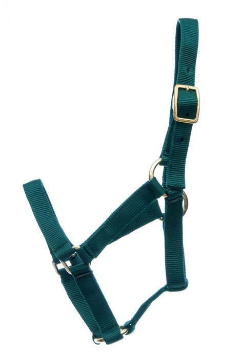 Jeffers Nylon Foal Halters, 00 - 200 lb - Jeffers - Horse Supplies > Horse Tack > Horse Halters