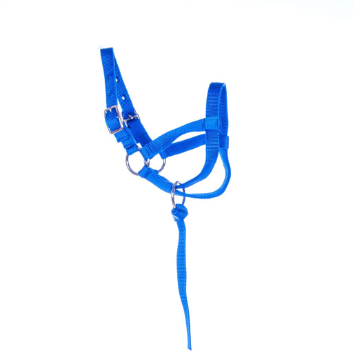 Jeffers Nylon Llama Halter, yearling - Jeffers - Animal & Pet Supplies > Animal & Pet Supplies