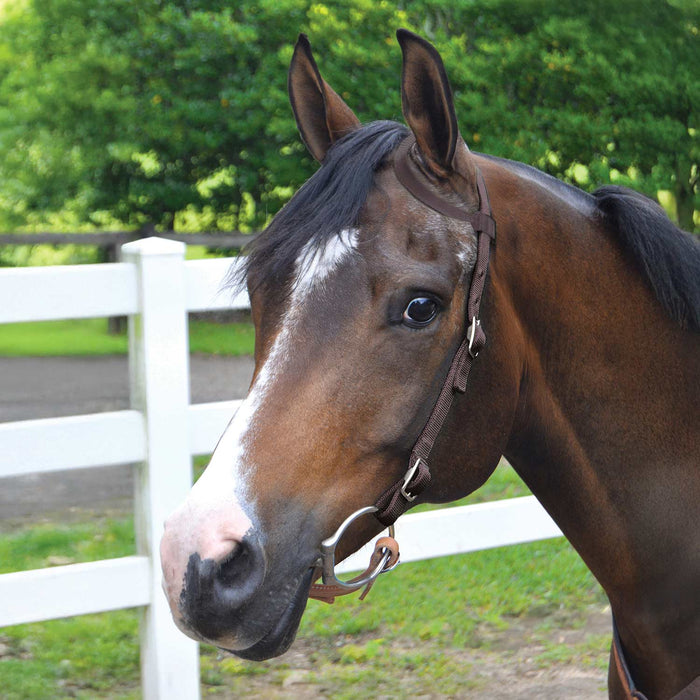 Jeffers Nylon One - Ear Western Horse Headstall - SSNG - Brown - 22
